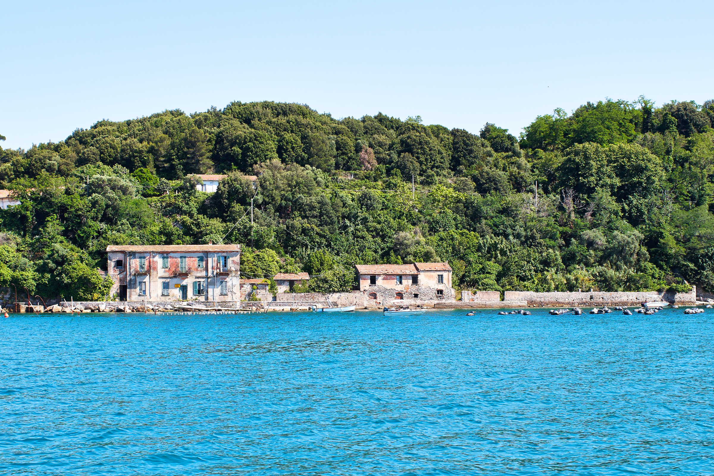 28_Palmaria_Island[1].webp